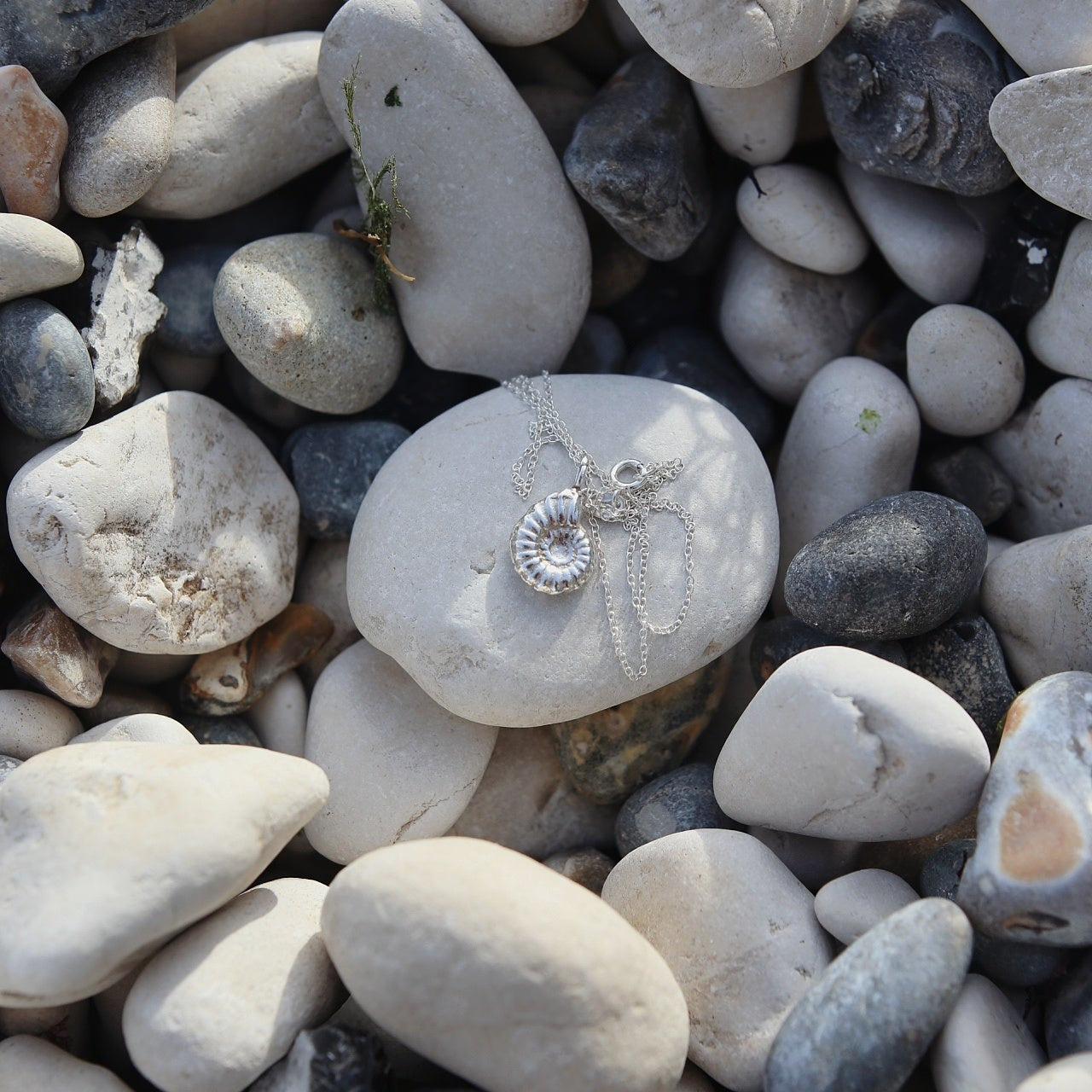 Ammonite Fossil Charm Necklace
