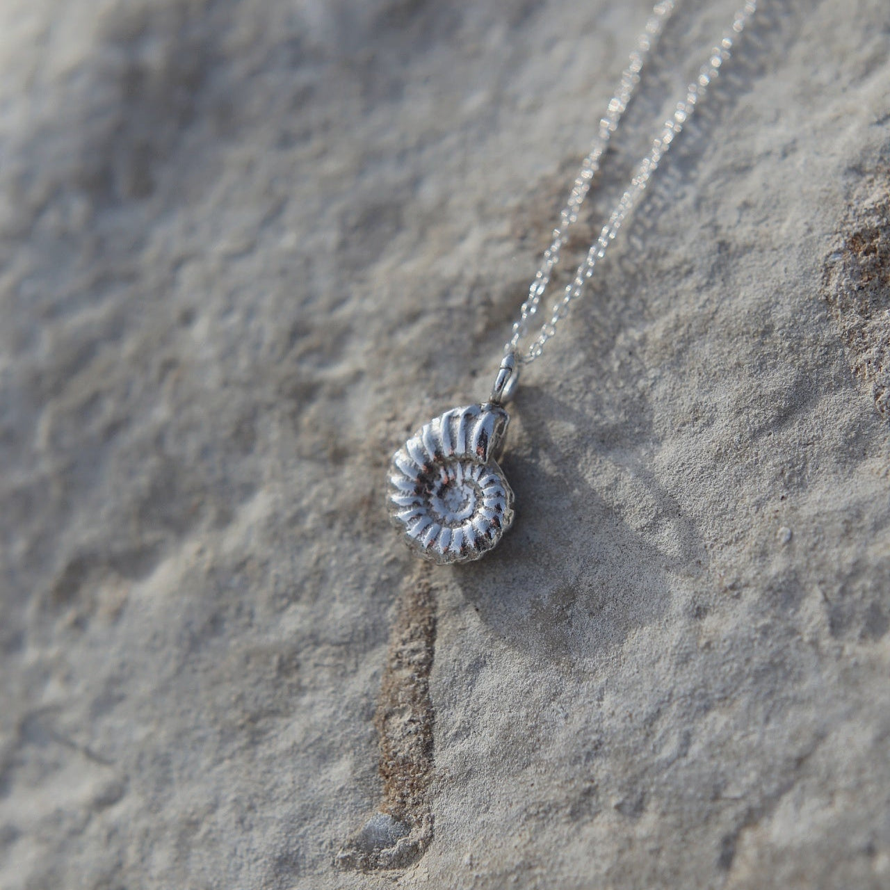 Ammonite Fossil Charm Necklace
