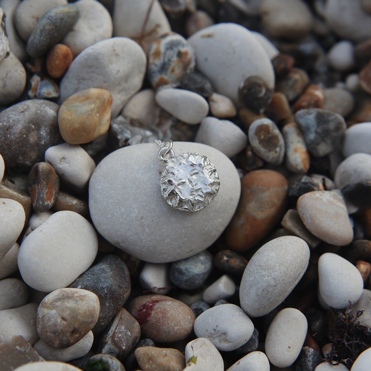 Silver Sungazer Necklace