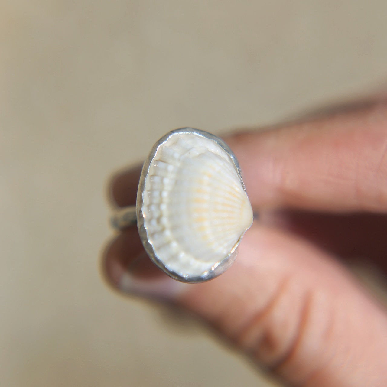 White Ark Shell Ring