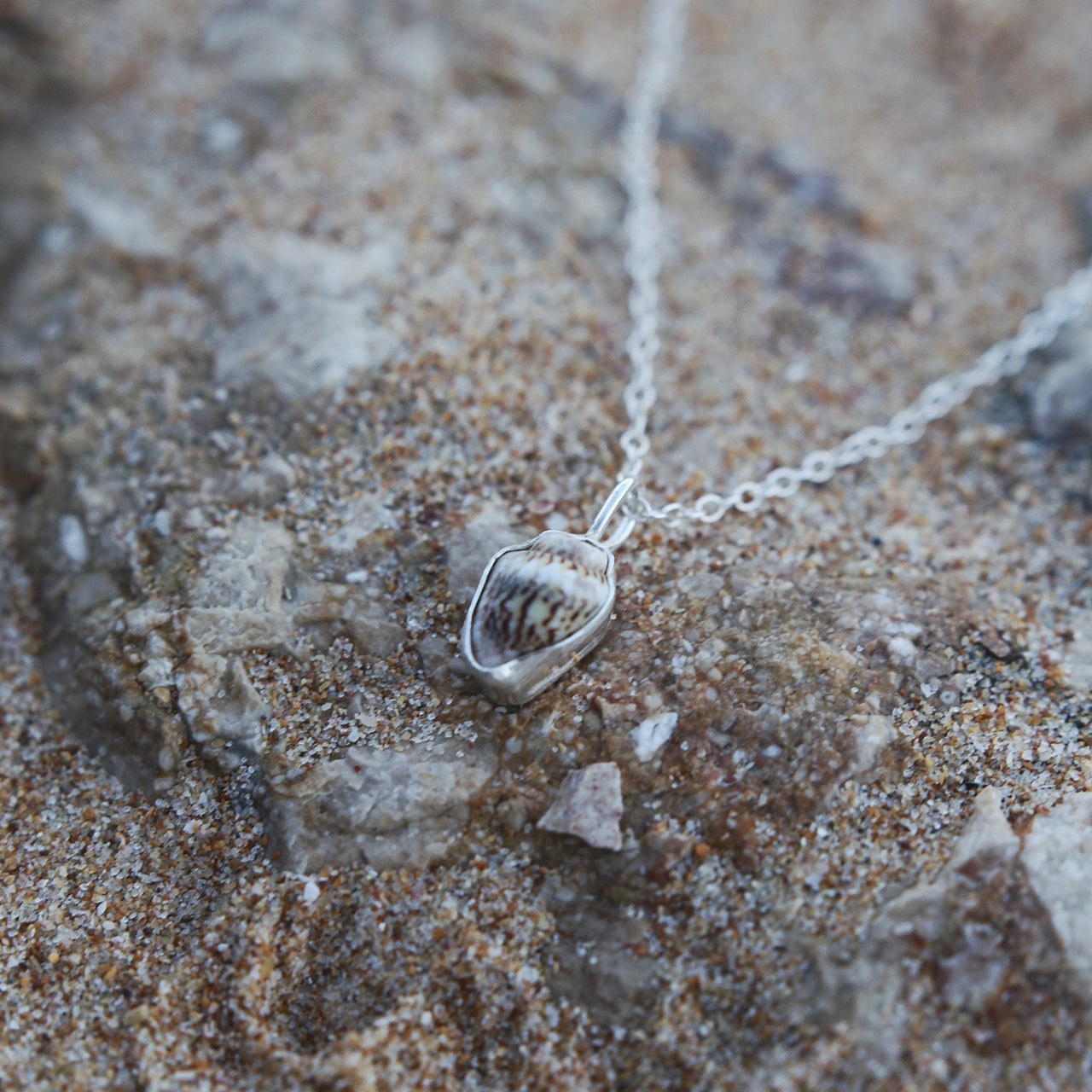 Shell Necklace, Eco silver jewellery, shell jewellery, recycled silver