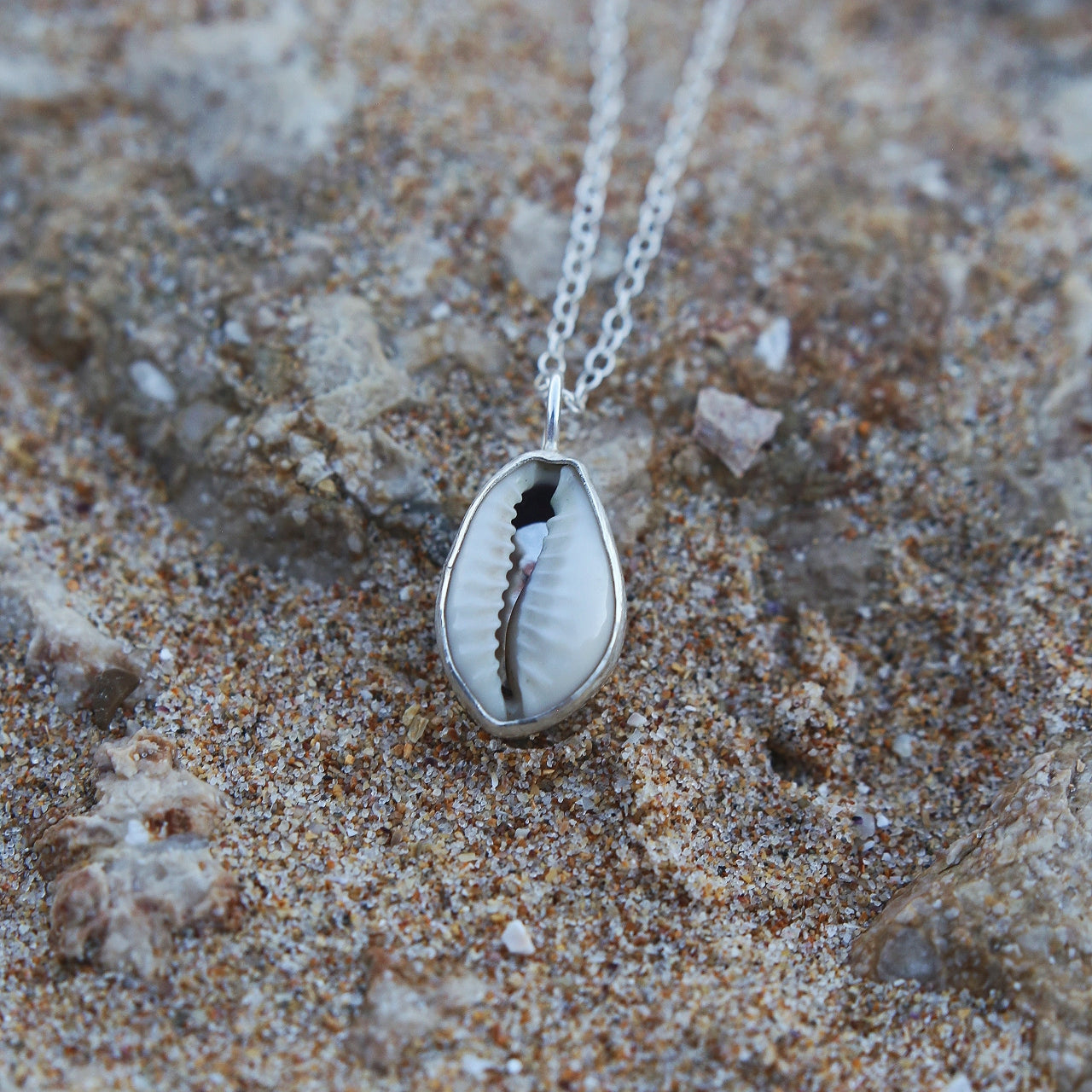 cowrie shell necklace, shell pendant, shell jewellery, eco silver, recycled sterling silver