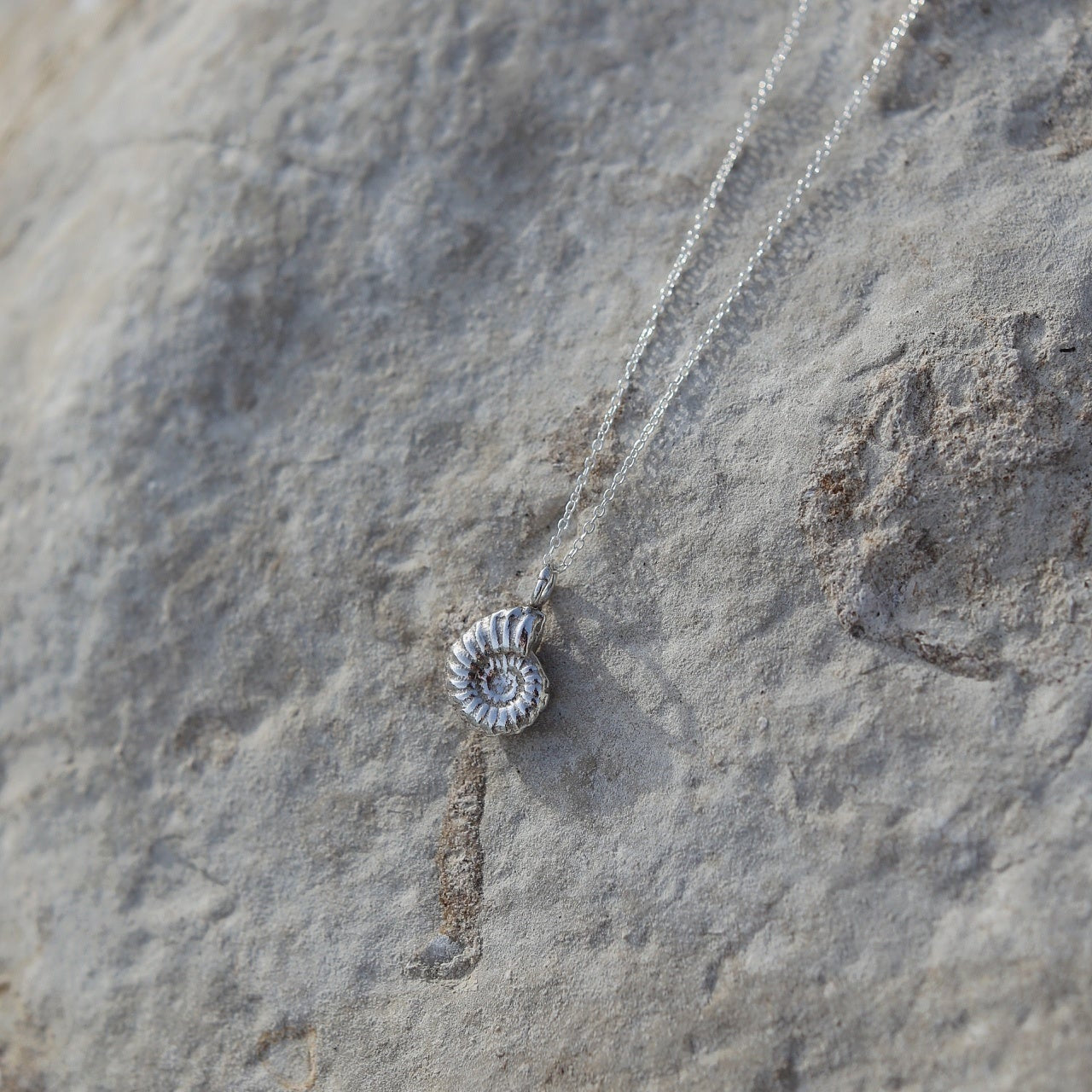 Ammonite Fossil Charm Necklace