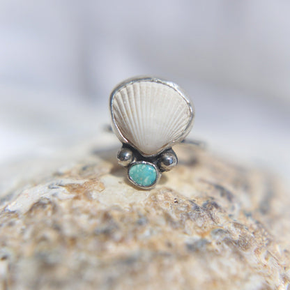White Ark Shell & Turquoise Ring