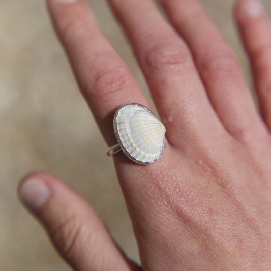 White Ark Shell Ring