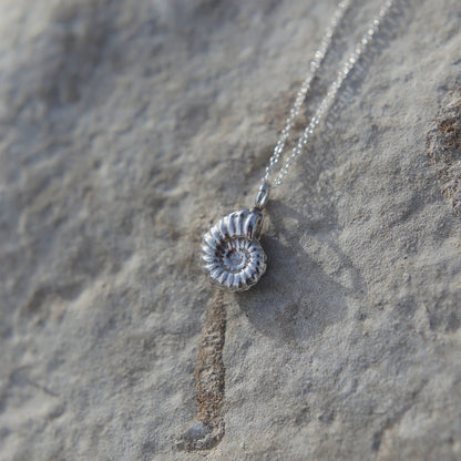 Ammonite Fossil Charm Necklace