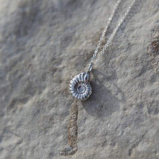 Ammonite Fossil Charm Necklace