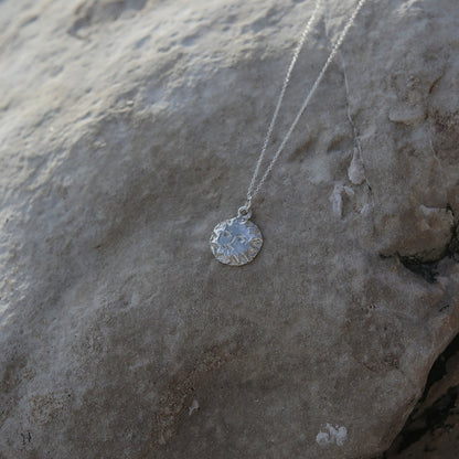 Silver Sungazer Necklace