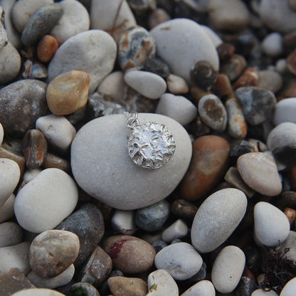 Silver Sungazer Necklace