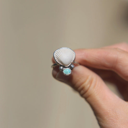 White Ark Shell & Turquoise Ring