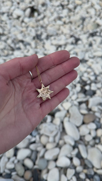 Large Star Necklace