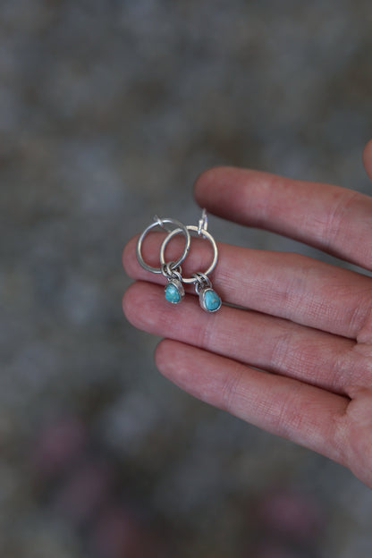 Small Sonoran Turquoise Earrings