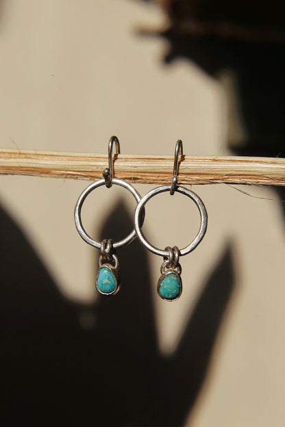 Small Sonoran Turquoise Earrings